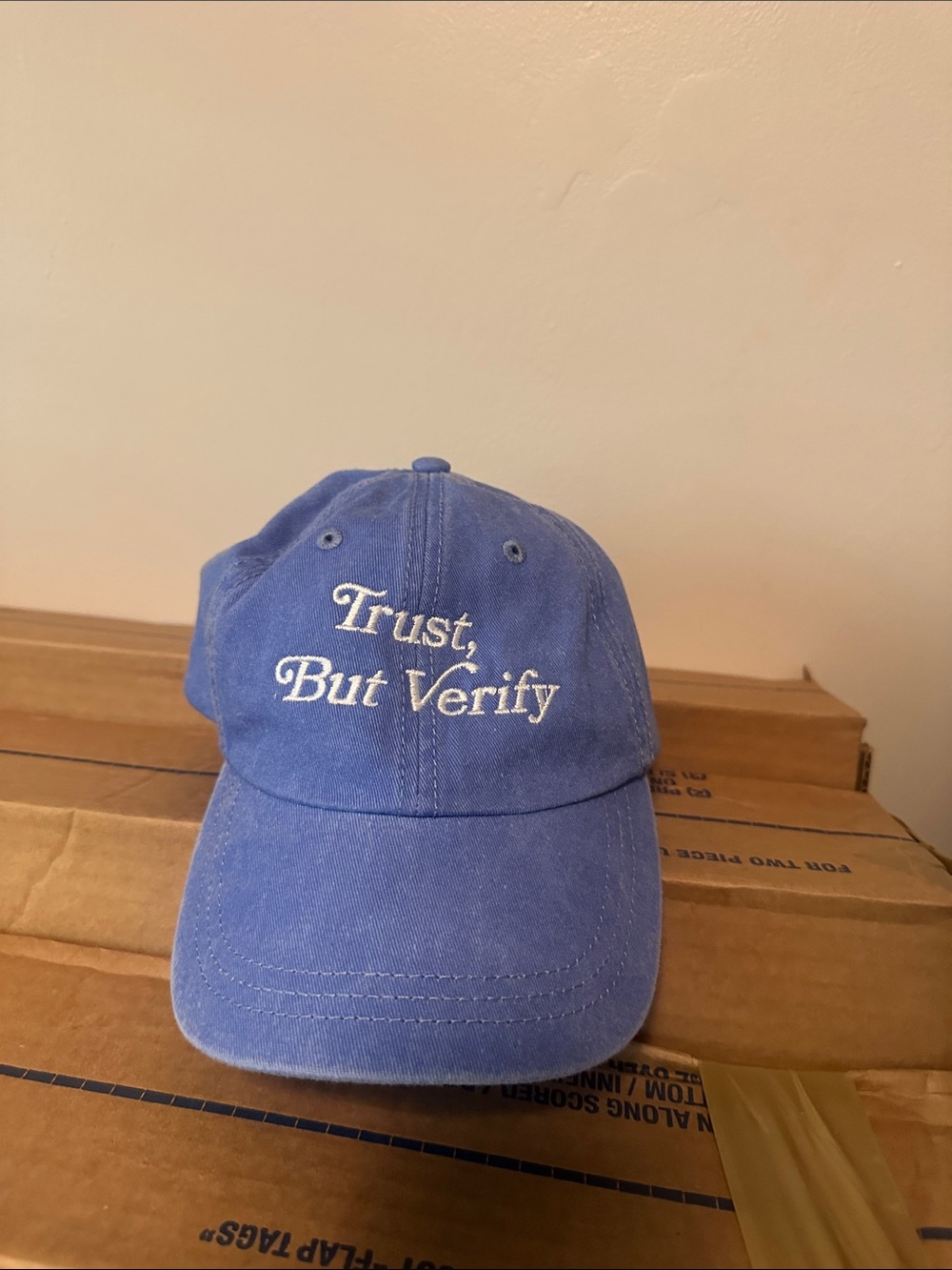 Source Unknown Blue 'Trust, But Verify' Baseball Cap